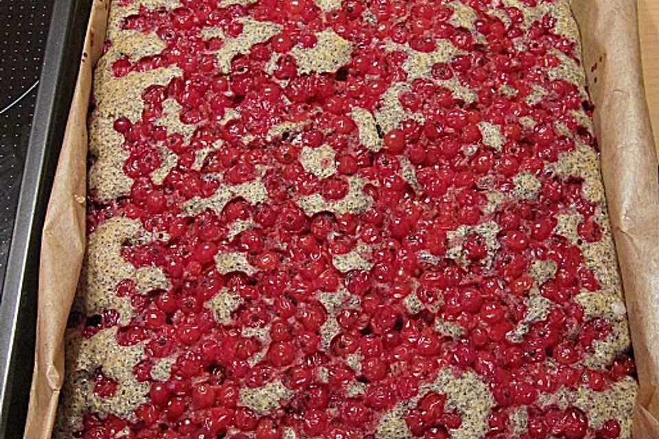 Mohnkuchen mit Johannisbeeren Mohnkuchen mit Johannisbeeren