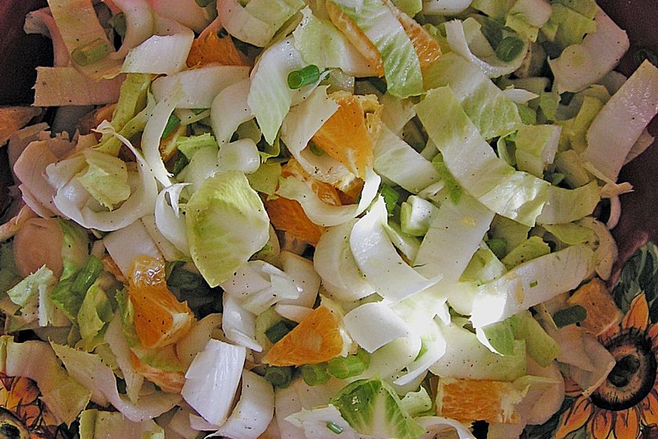 Chicoree - Orangen - Salat