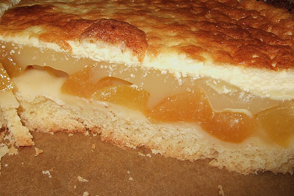 Aprikosenkuchen