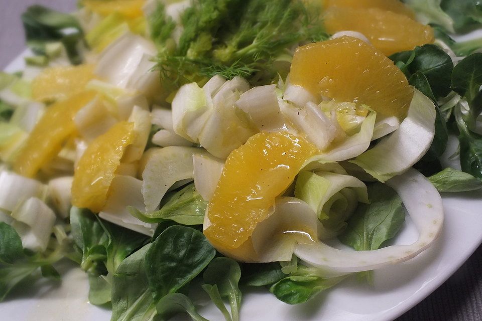 Feldsalat mit Chicoree und Fenchel