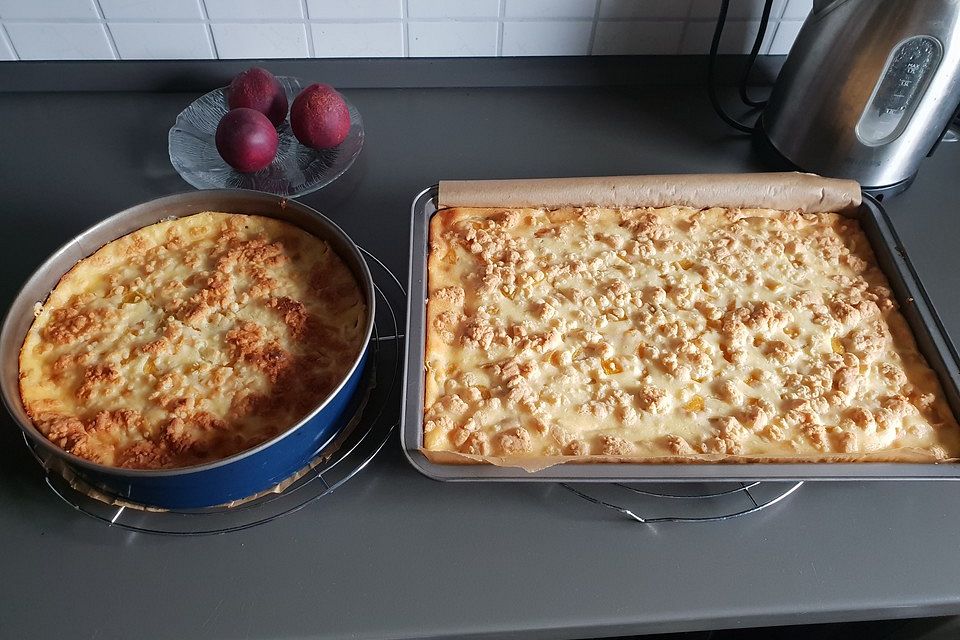 Streuselkuchen mit Mandarinen und Schmand