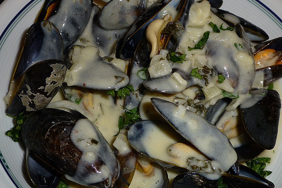 Moules à la malouine - Muscheln wie in Saint-Malo