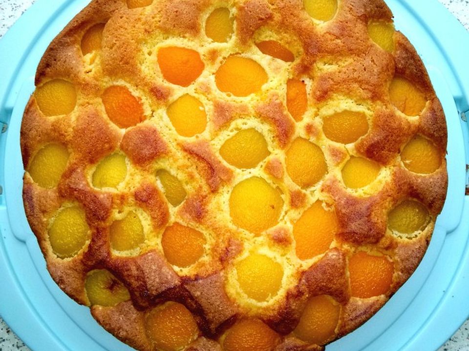 Aprikosenkuchen - der einfachste überhaupt! | Chefkoch