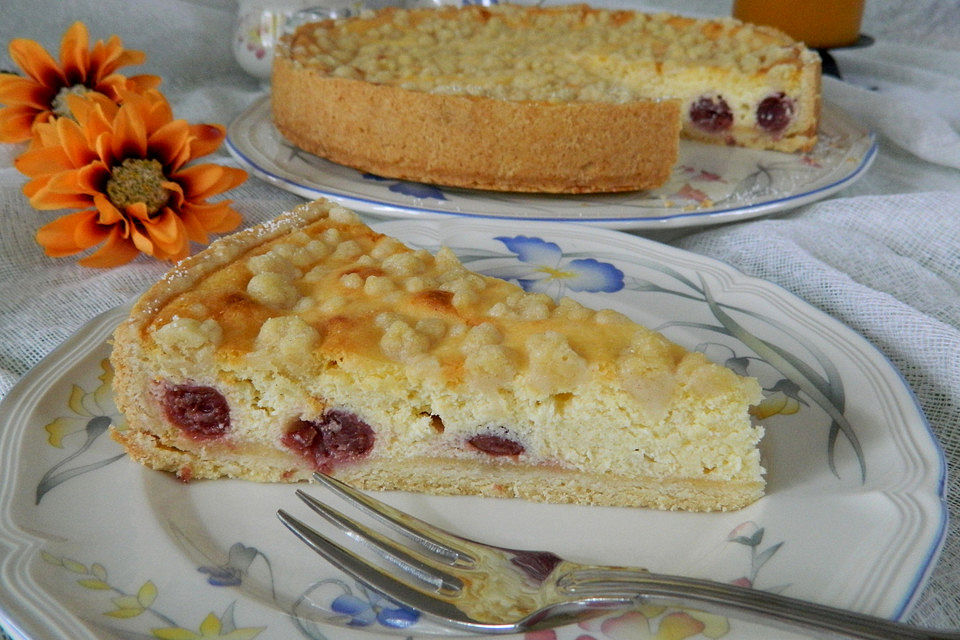 Quarkkuchen mit Kirschen und Streuseln - Blechkuchen, Mürbeteig