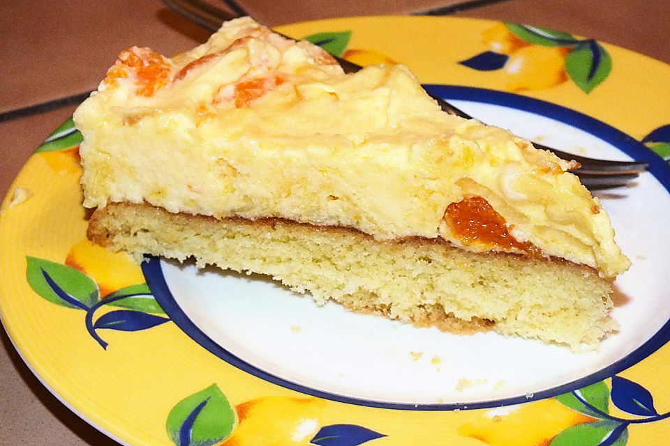 Schüttelkuchen