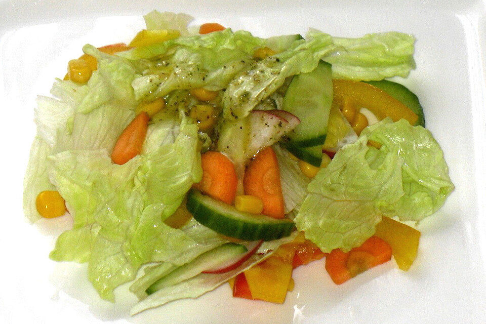 Bunter gemischter Salat mit leckerem Dressing