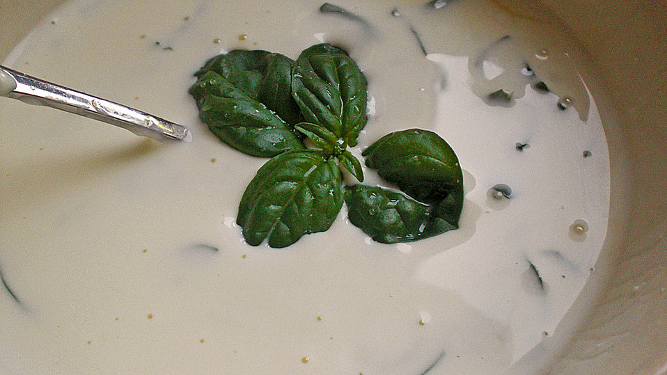 5 Minuten Basilikum - Joghurt - Dressing von Nadisha