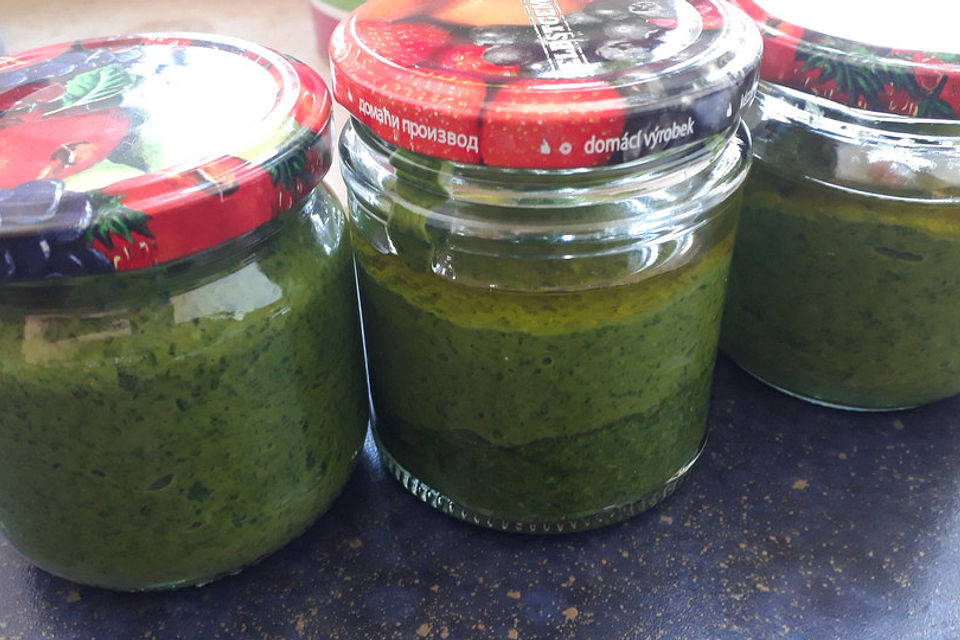 Pfiffiges Bärlauchpesto