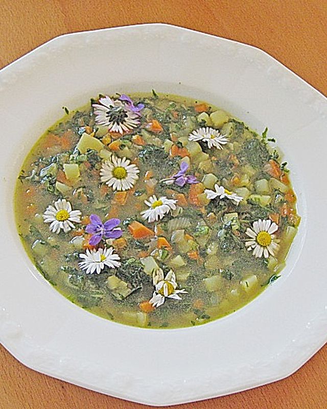 Brennnessel-Gänseblümchen-Suppe
