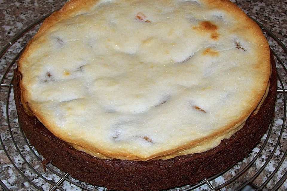 Schoko - Kuchen mit Mandarinen und Kokos - Schmandguss