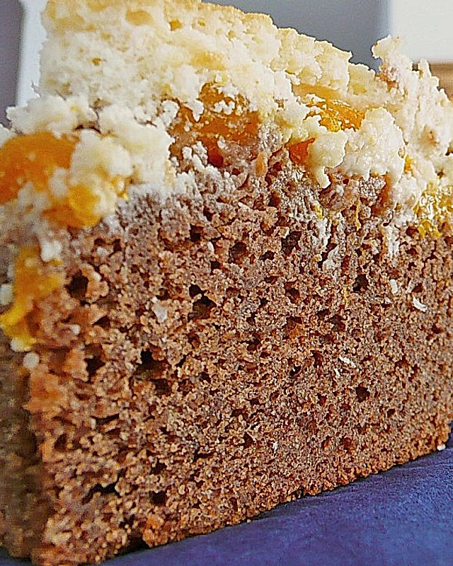 Schoko - Kuchen mit Mandarinen und Kokos - Schmandguss