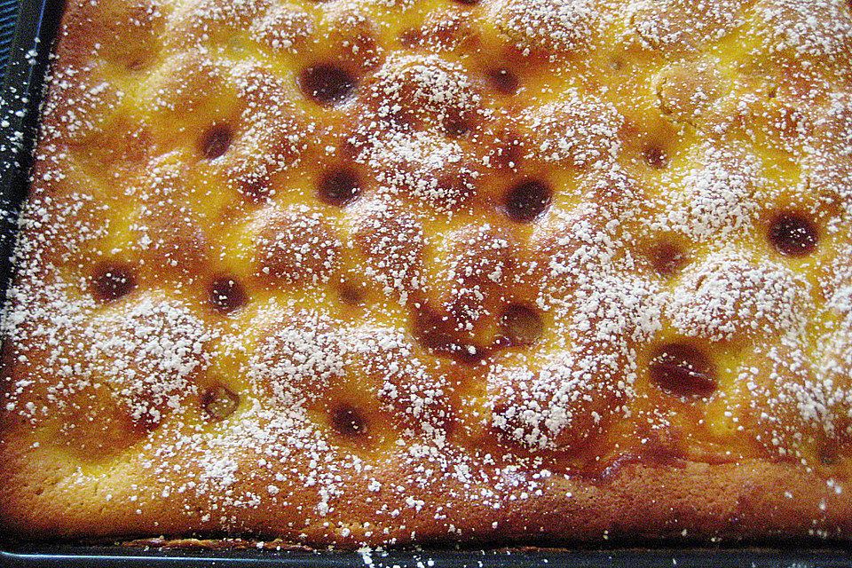 Aprikosenkuchen