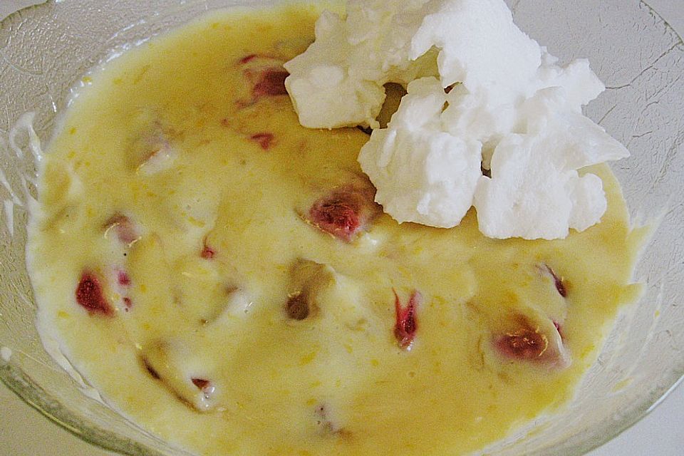 Rhabarber - Vanille - Pudding