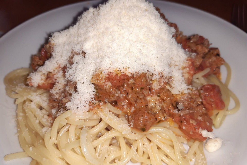 Bolognese