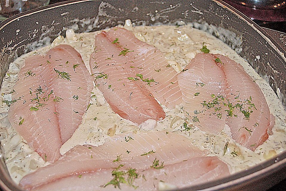 Fenchel - Tilapia - Ragout