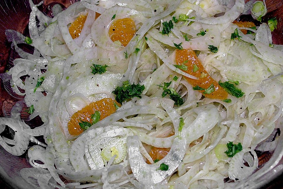 Fenchelsalat mit Orangensauce