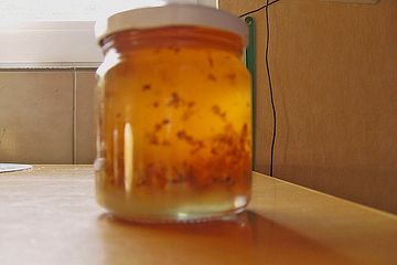 Holunderblutengelee Mit Bluten Von Wiemy Chefkoch 