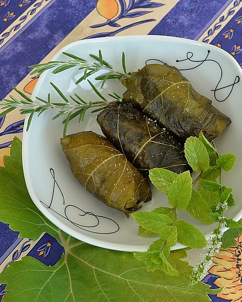 Dolma Rezepte Chefkoch