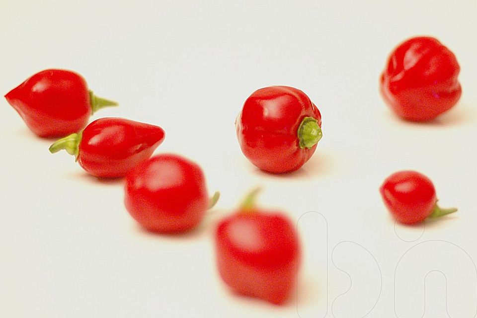 Habanero - Honig Habanero - Honig