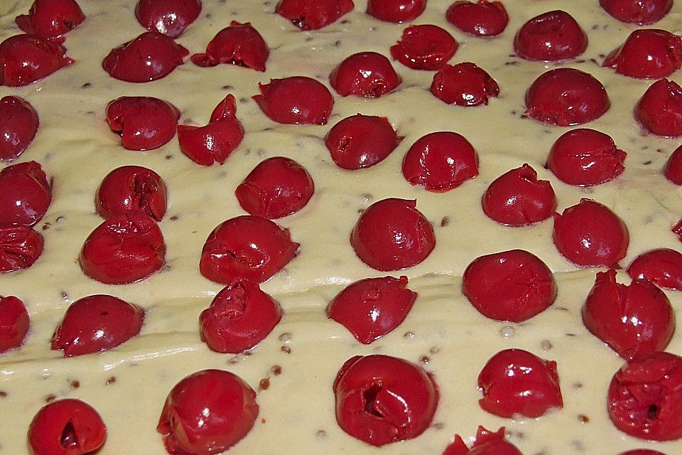 Kirsch - Eierlikör - Blechkuchen mit Schmand - Sahne