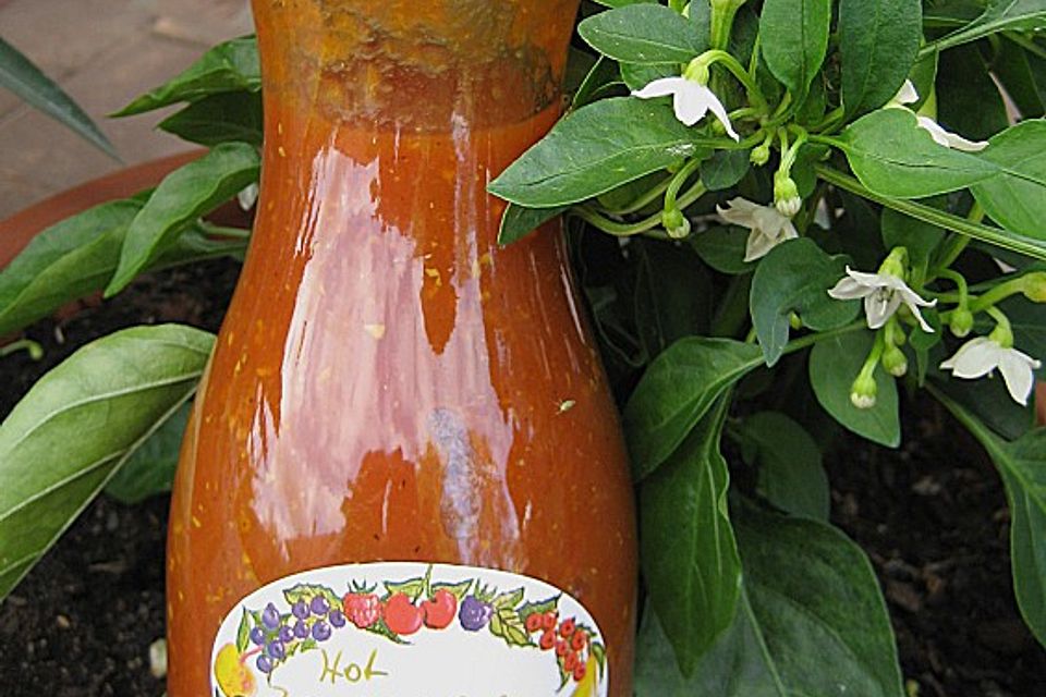 Hot Zucchini-Salsa Hot Zucchini-Salsa