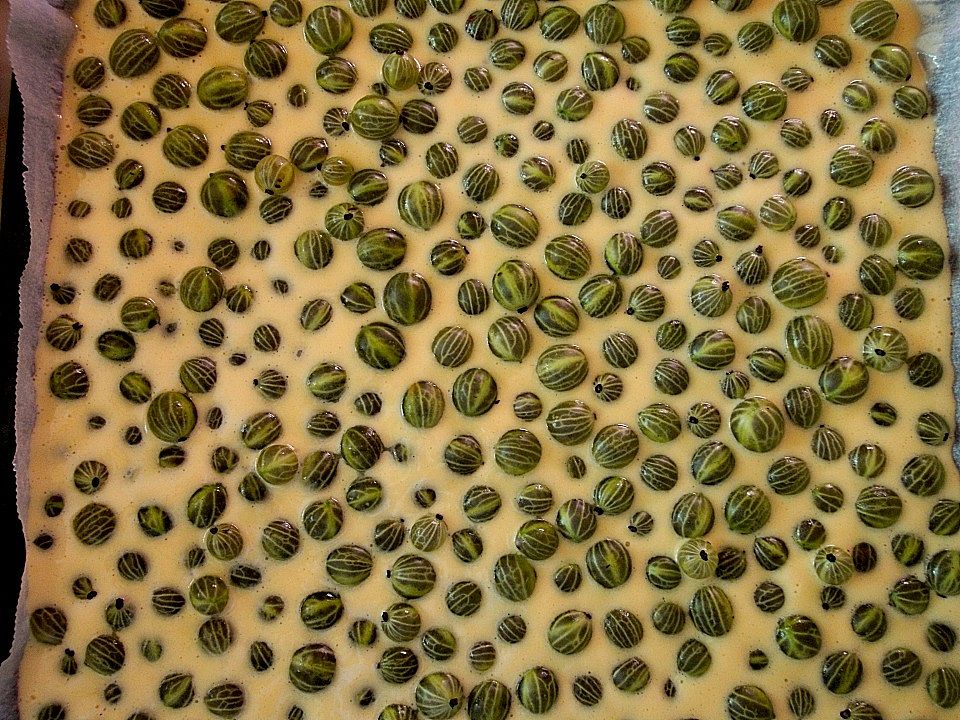 Stachelbeer - Streuselkuchen von Elisabeth_von_Honkenstein| Chefkoch Stachelbeer - Streuselkuchen von Elisabeth_von_Honkenstein| Chefkoch