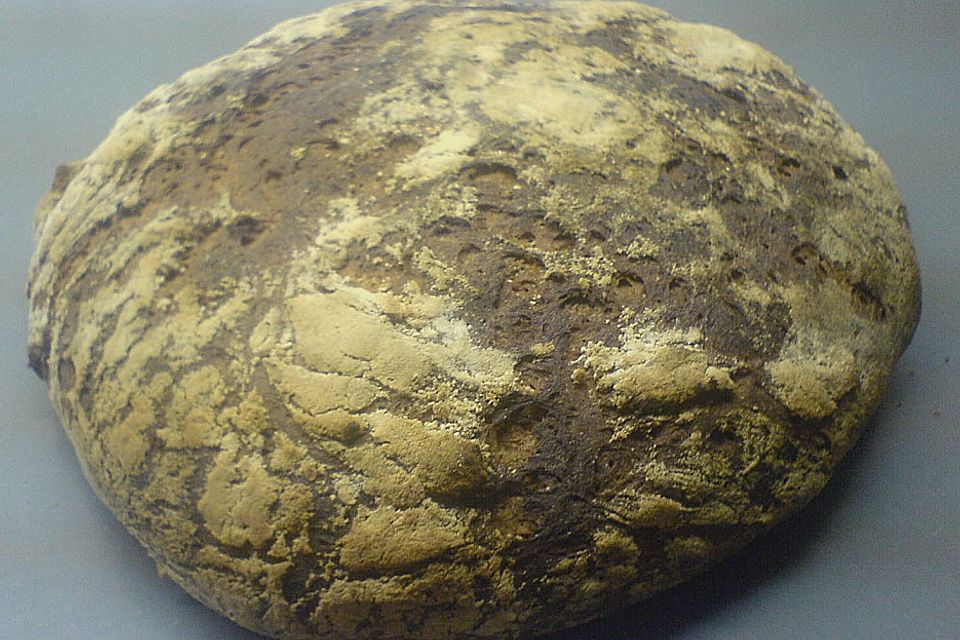 Schwarzwälder Landbrot