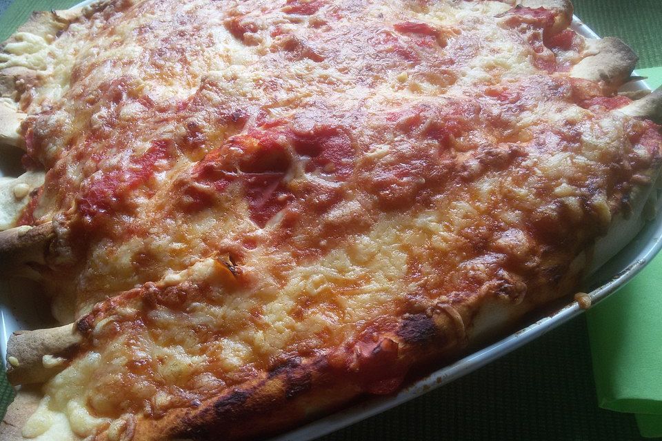 Enchilada verdura Enchilada verdura