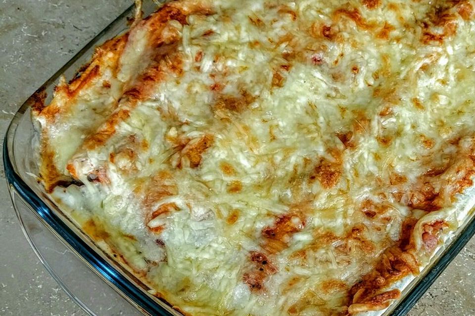 Enchilada verdura Enchilada verdura