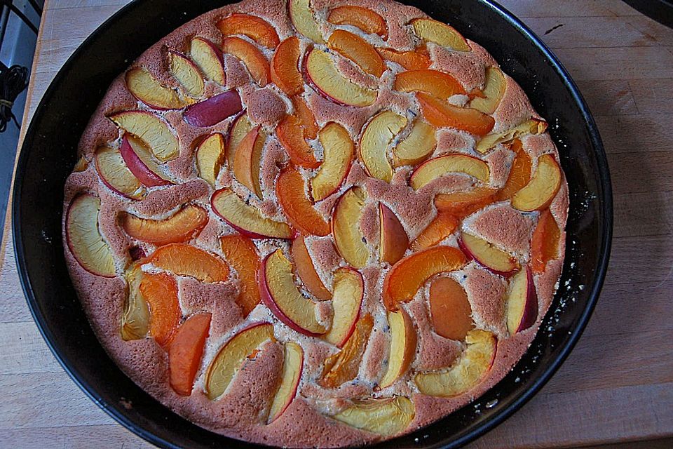 Marillen - Nektarinen - Kuchen