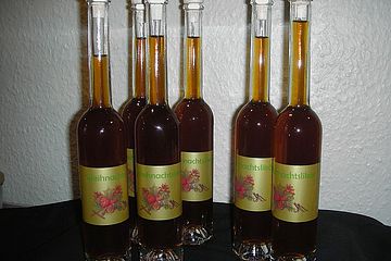 Weihnachtslikor Von Shadow96 Chefkoch