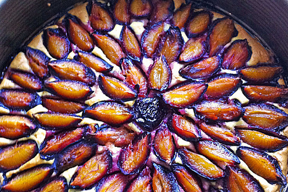 Pflaumenkuchen Pflaumenkuchen