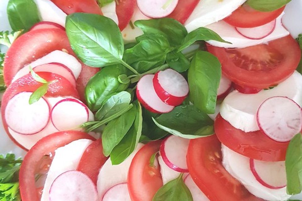 Mozzarella-Tomaten-Salat