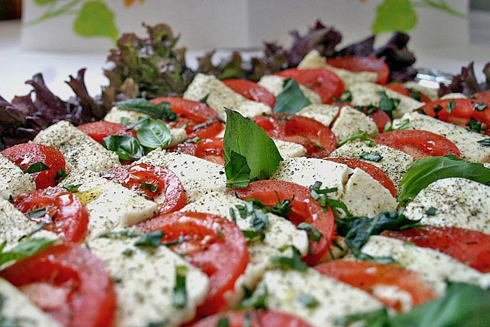 Mozzarella-Tomaten-Salat