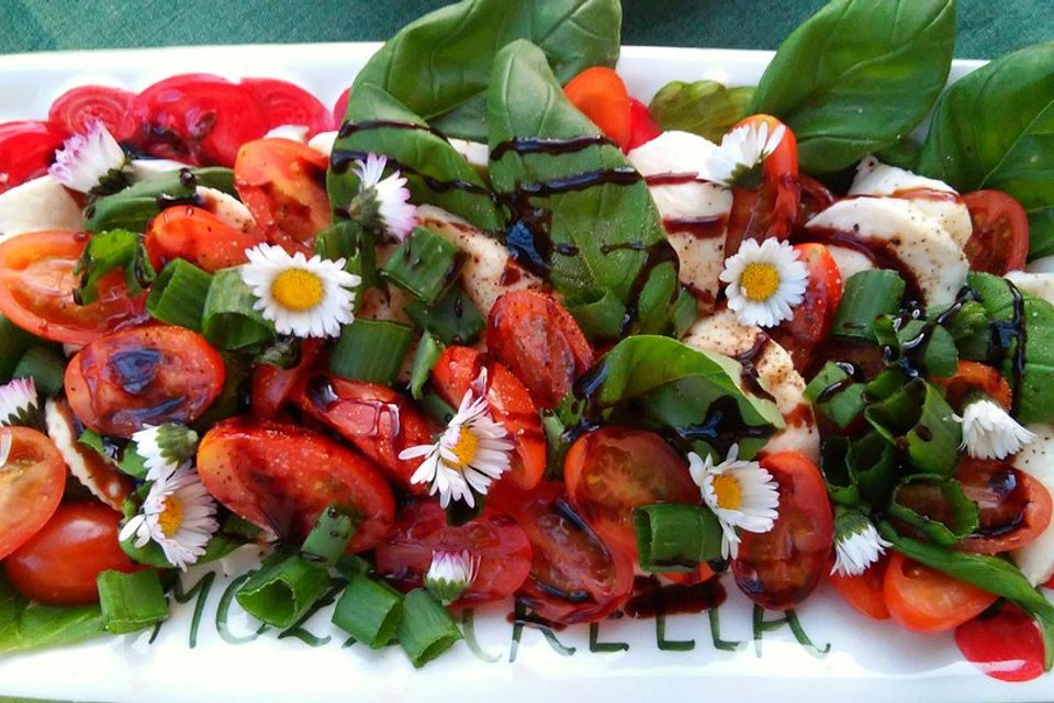 Mozzarella-Tomaten-Salat