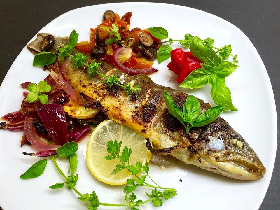 Mediterrane Lachsforelle