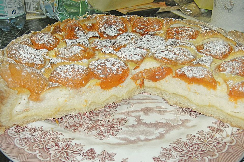 Topfenkuchen mit Marillen