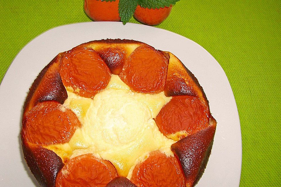 Topfenkuchen mit Marillen