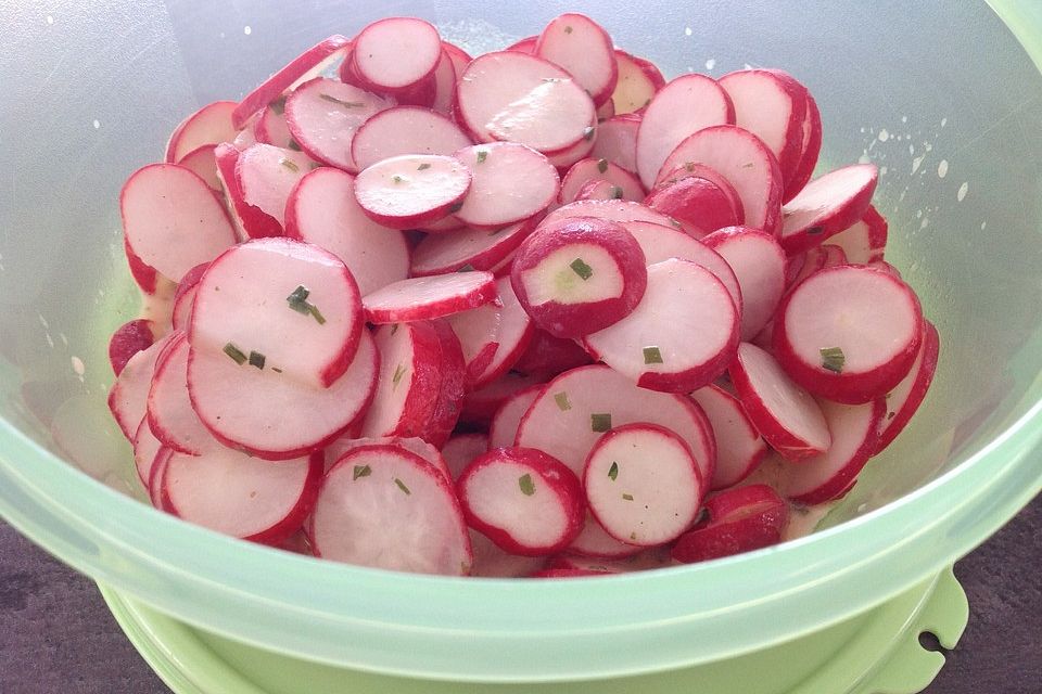 Sommer - Radieschen - Salat