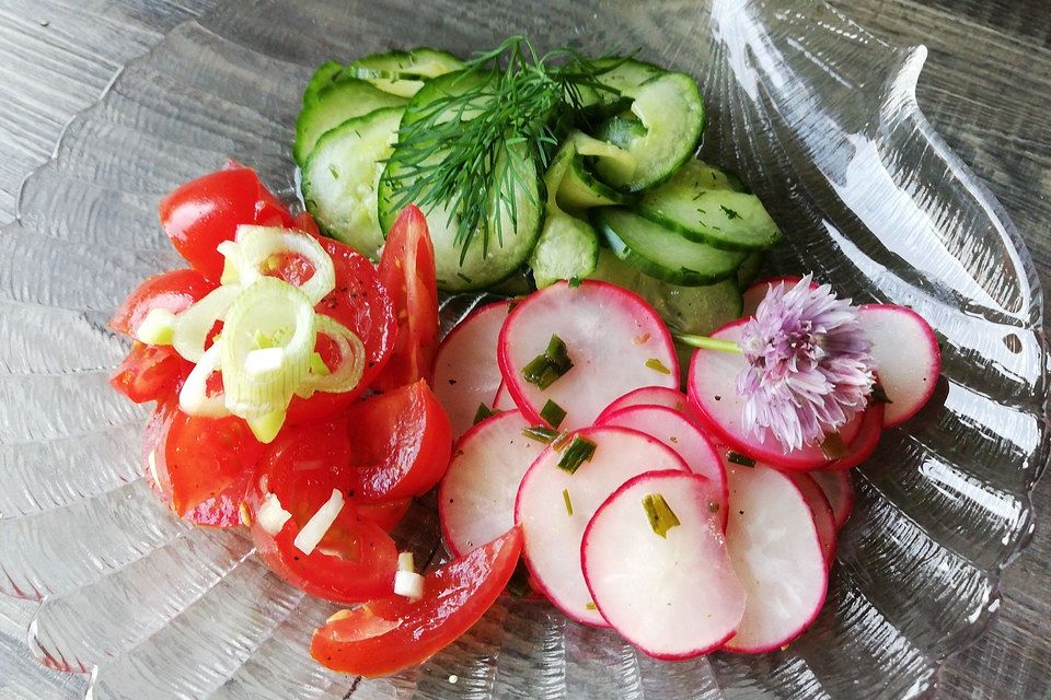 Sommer - Radieschen - Salat