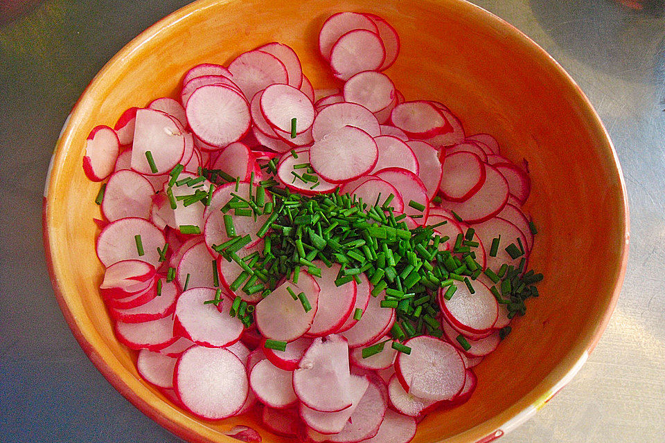 Sommer - Radieschen - Salat