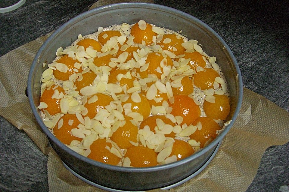 Aprikosenkuchen mit Mohn und Mandelblättchen