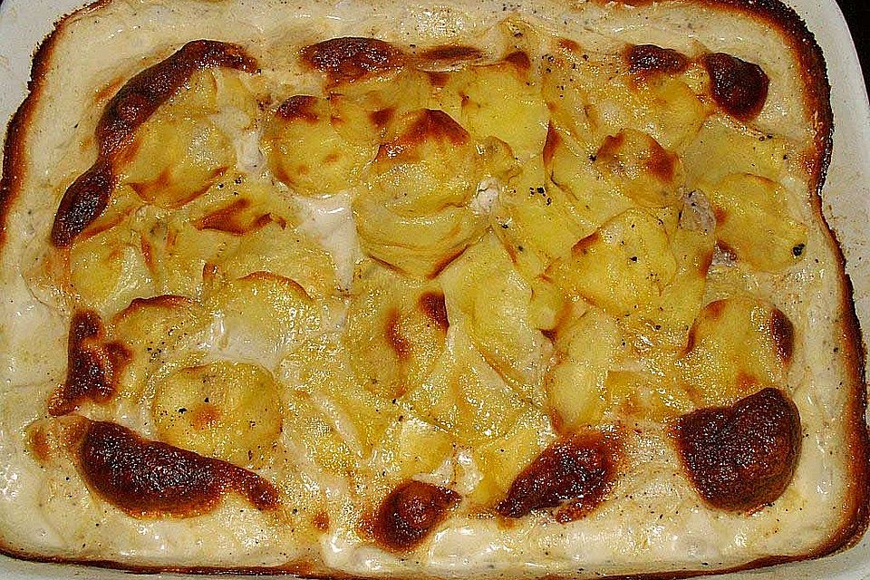 Matjes - Gratin