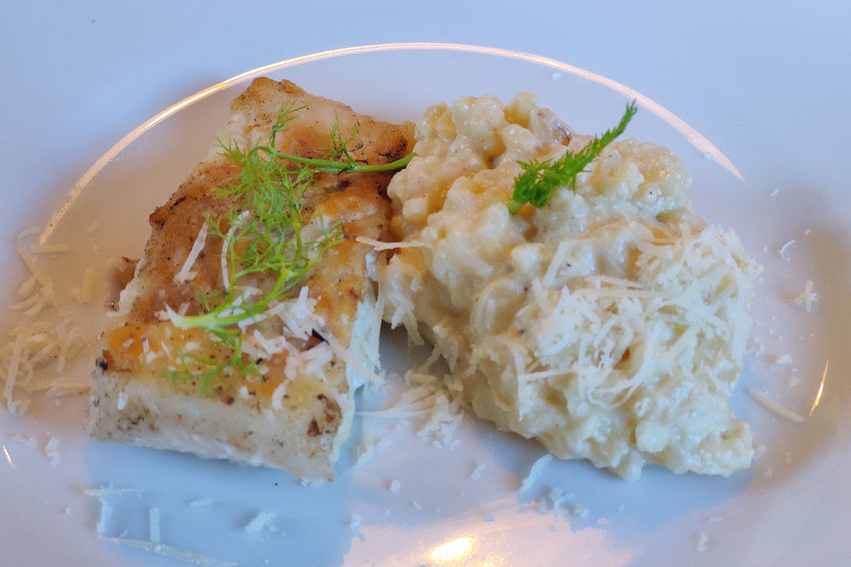 Fenchel - Risotto