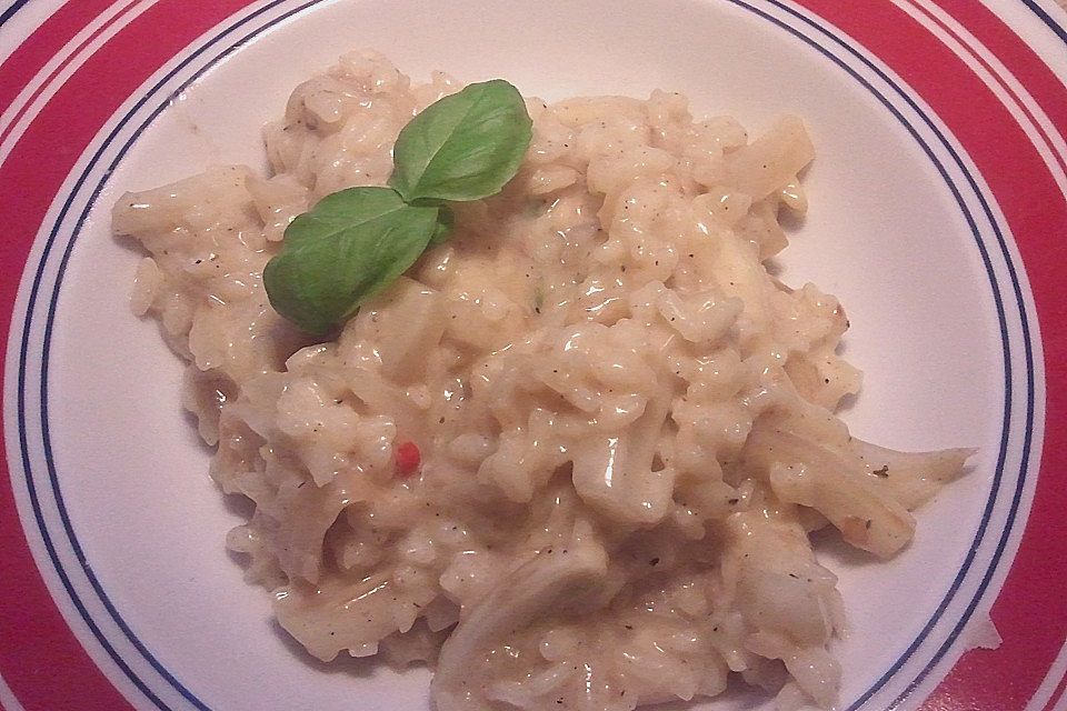 Fenchel - Risotto