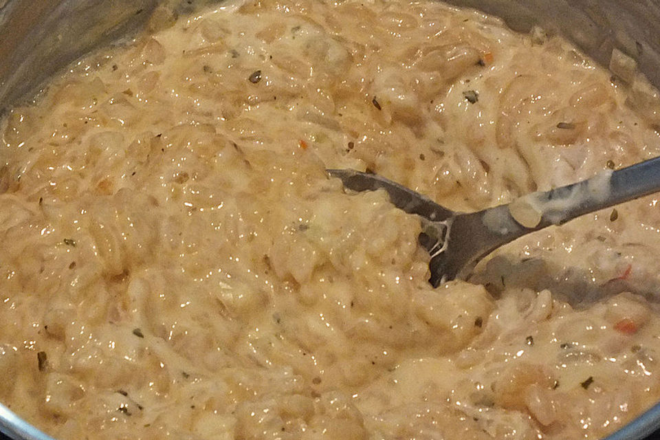 Fenchel - Risotto