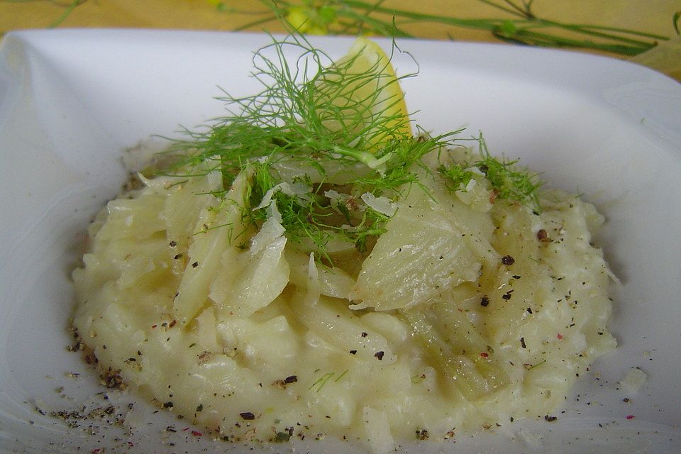 Fenchel - Risotto