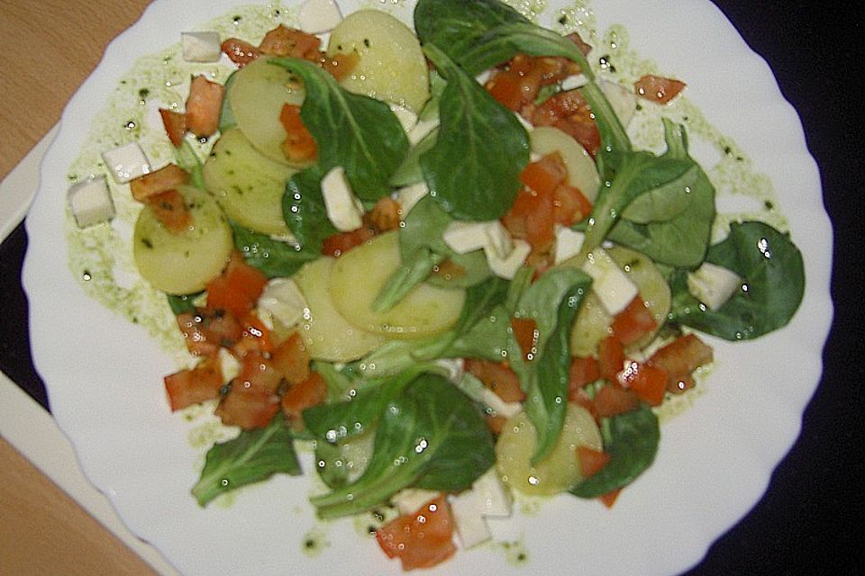 Kartoffel - Mozzarella - Salat