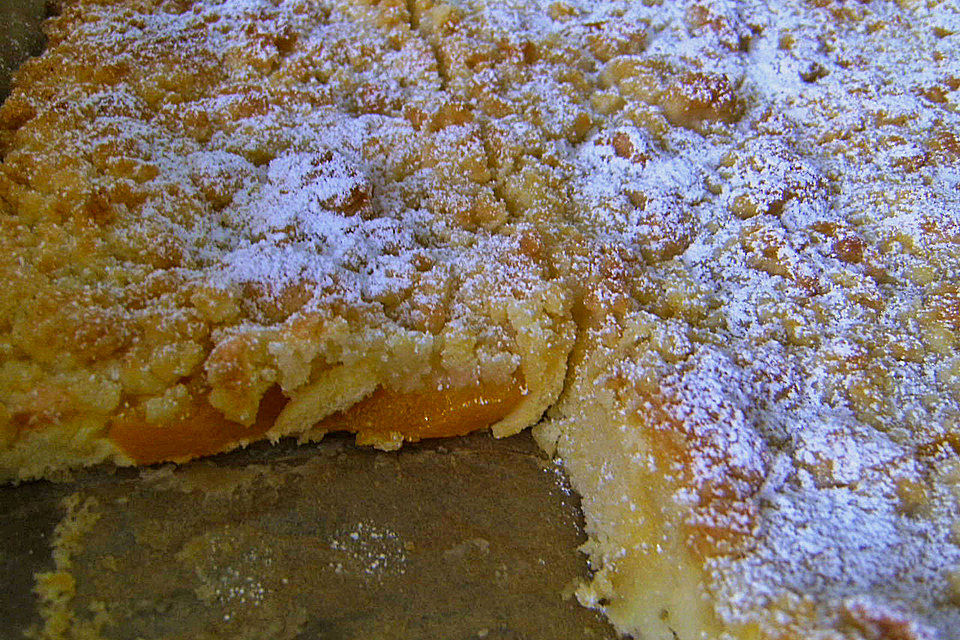 Streuselkuchen mit fruchtiger Füllung