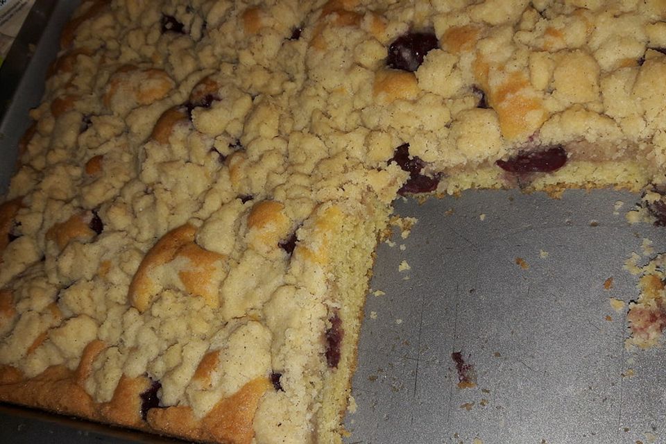 Streuselkuchen mit fruchtiger Füllung